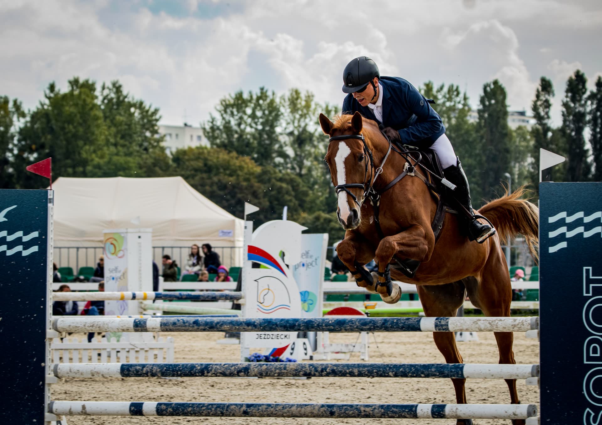 Cavalière lors d'une épreuve d'équitation